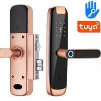 Inteligentní Tuya dveřní zámek s klikou | Zoneway iLock03